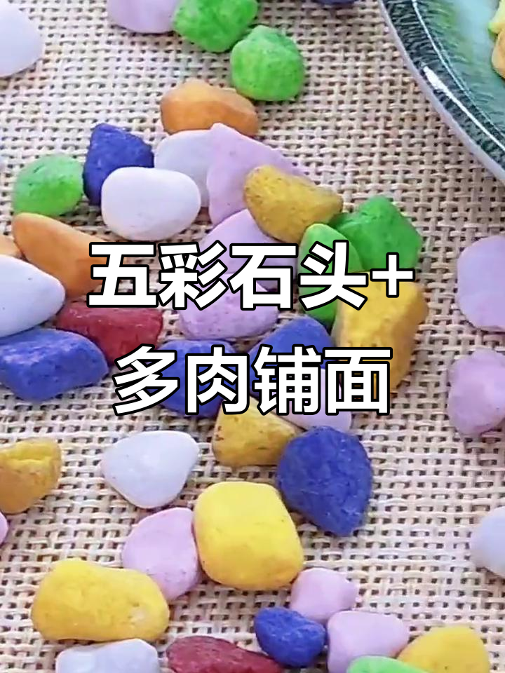 五彩石与多肉植物，打造鱼缸造景新风格