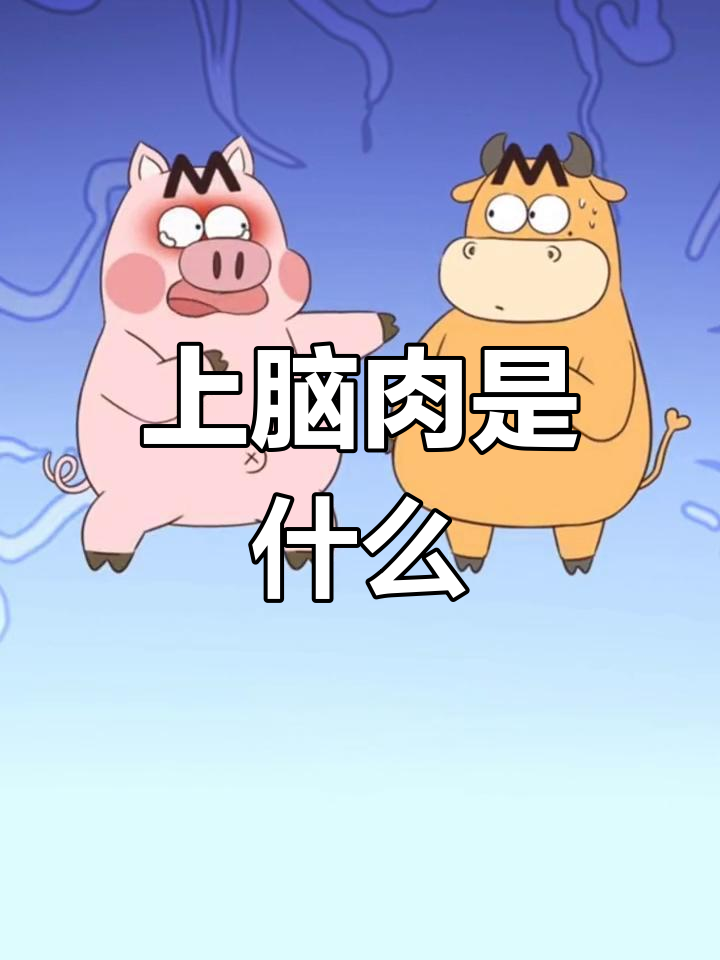 牛肉各部位名称解析