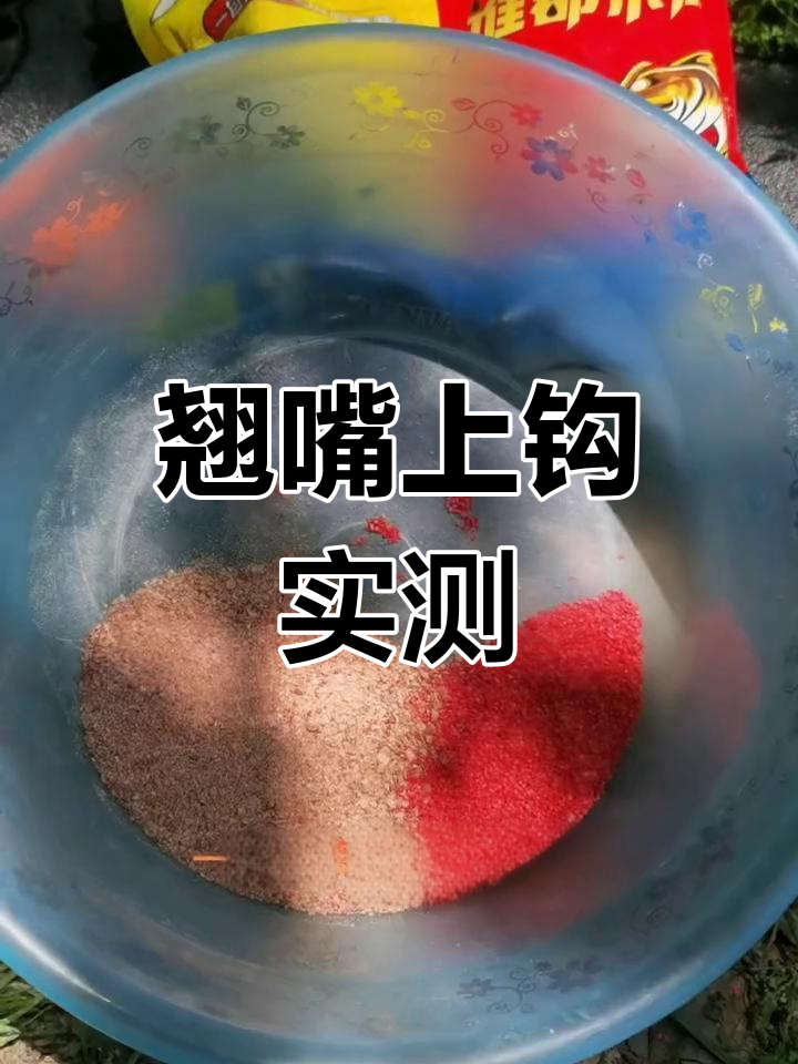 龙王恨无畏江湖饵料测试,翘嘴频频上钩!