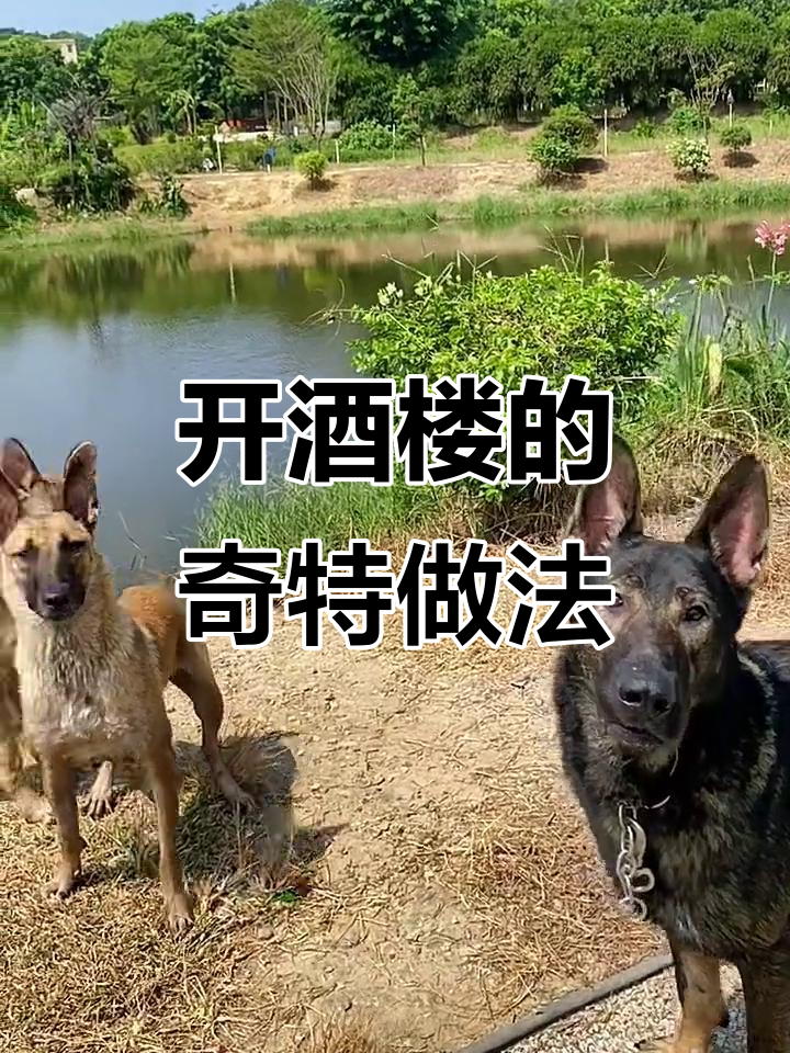 重庆朋友开酒楼,厨房装管子直接通北海海鲜,生意大赚!