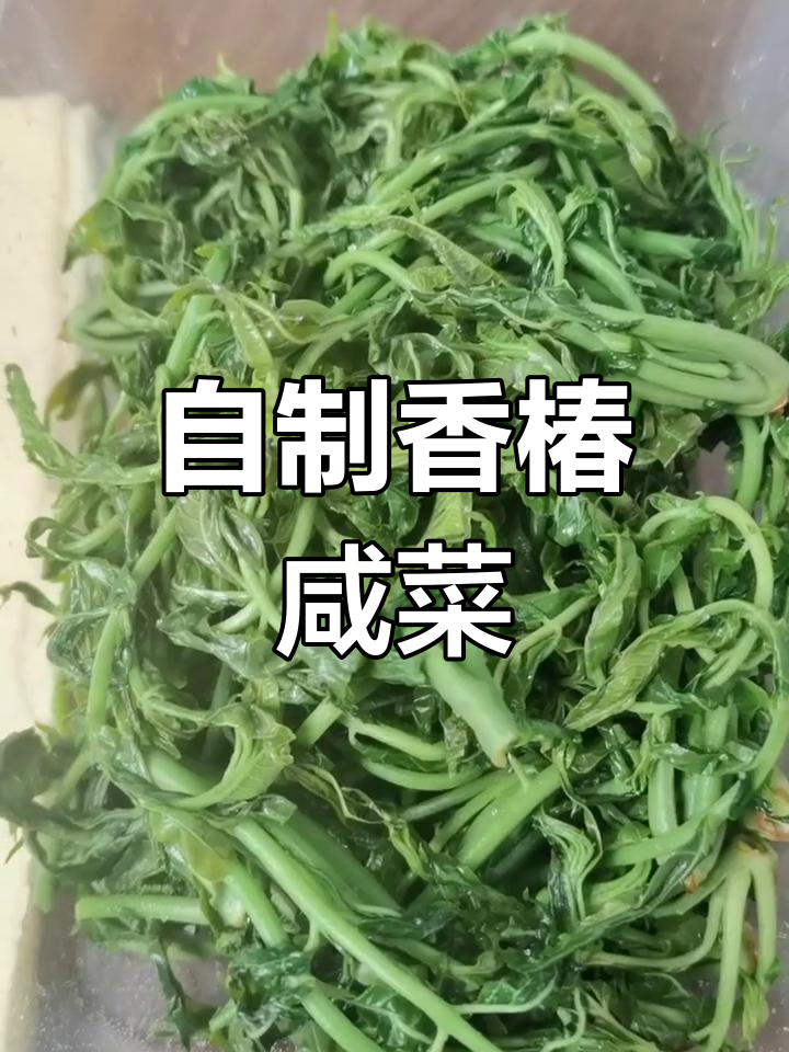 香椿芽咸菜做法,简单又美味!