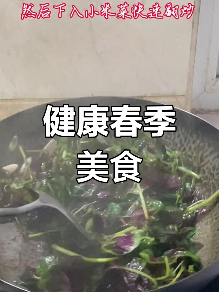 春日餐桌上的小米菜,素炒也能美味