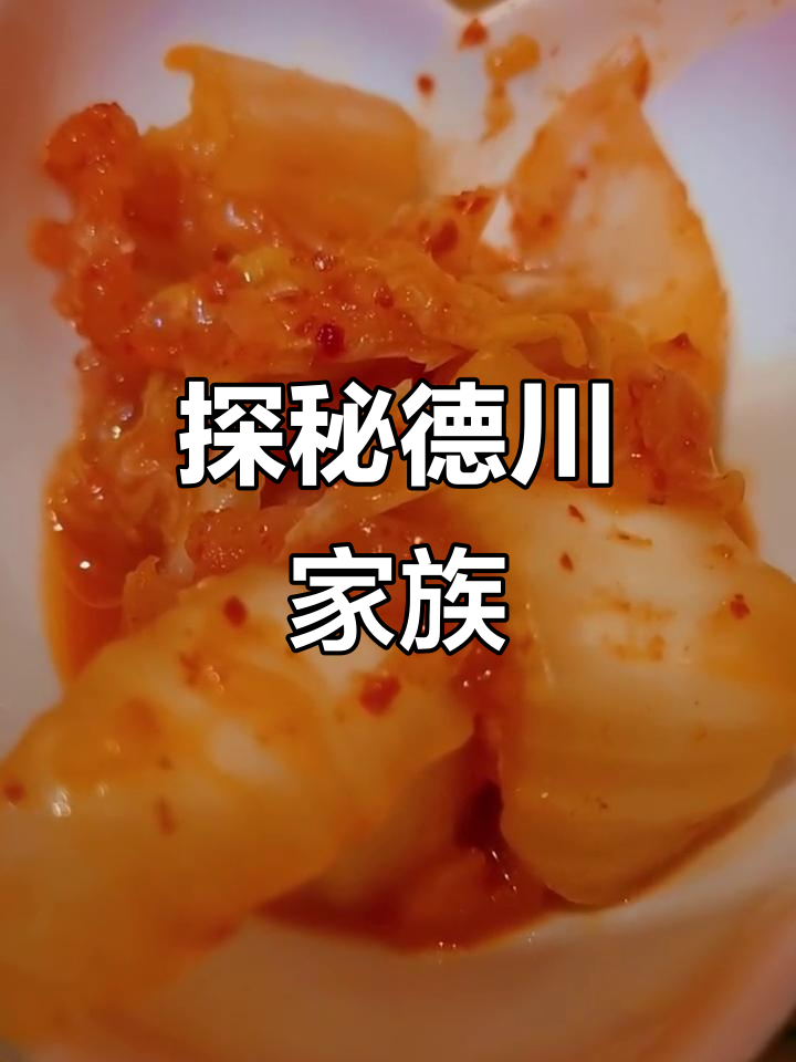 德川家:一段历史与文化的传承