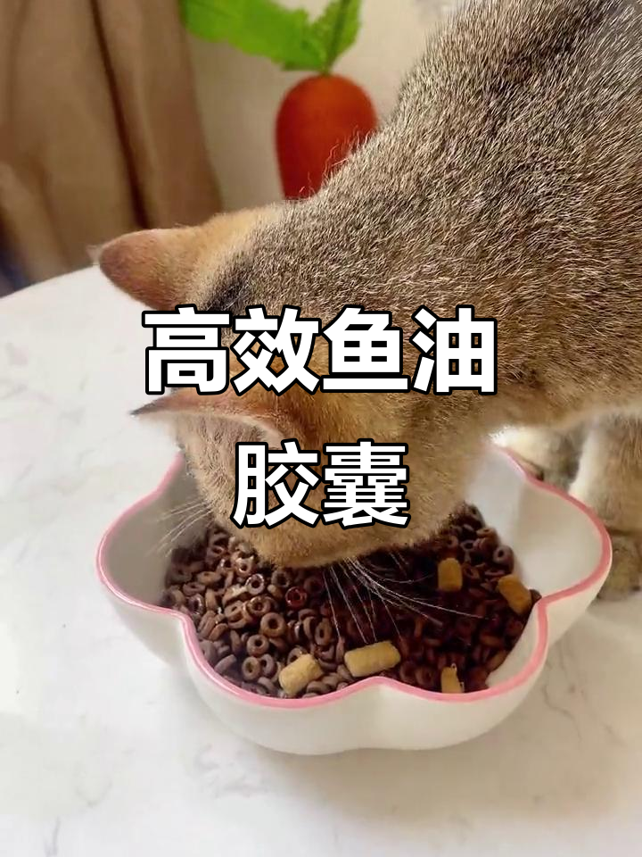 这款鱼油胶囊,高含量Omega-3与维生素E双重加持