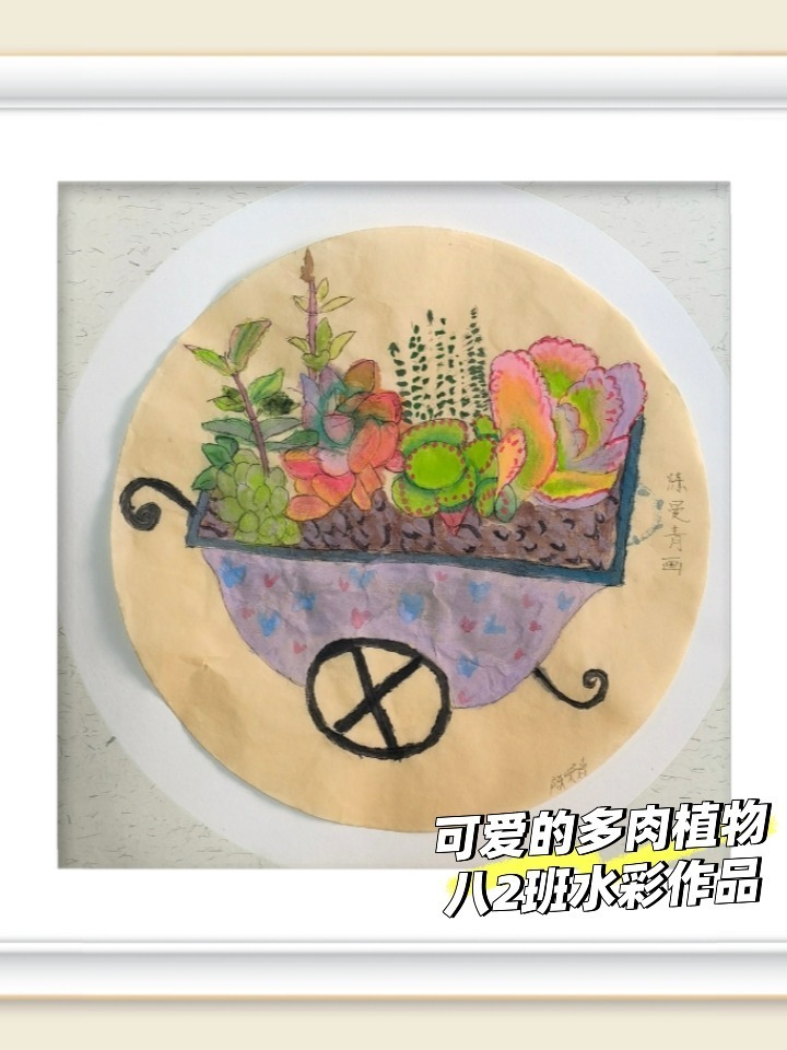 多肉植物习作