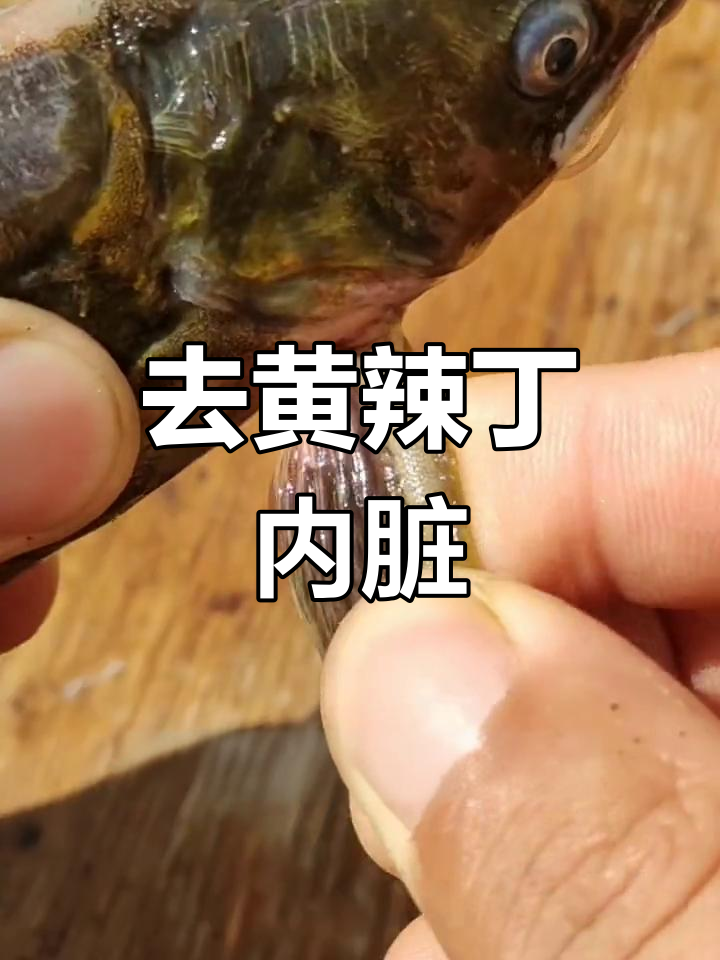 嘎牙子鱼去内脏技巧