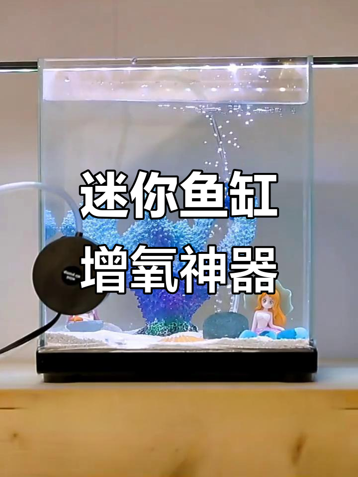 小型鱼缸静音增氧,氧气泵让鱼儿畅游无忧