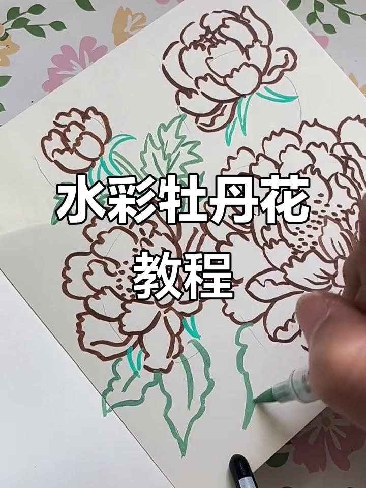 儿童水彩画:牡丹花跟练版,轻松学画画