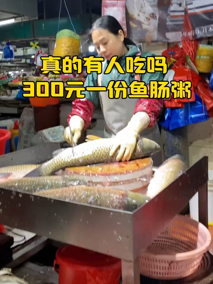 真的有人愿意花300元买一份比鱼还贵的鱼肠粥吗