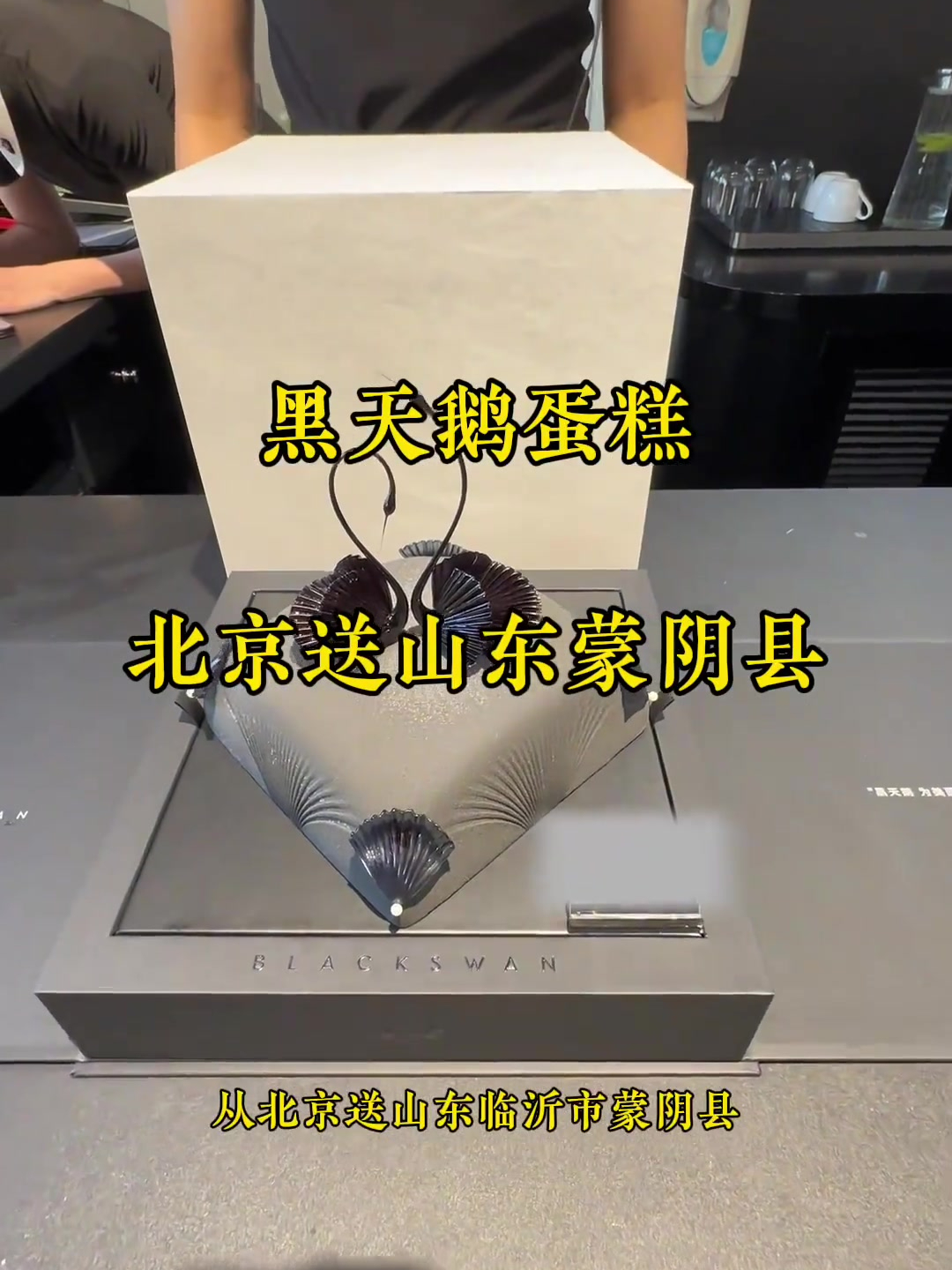 黑天鹅蛋糕从北京送山东蒙阴县