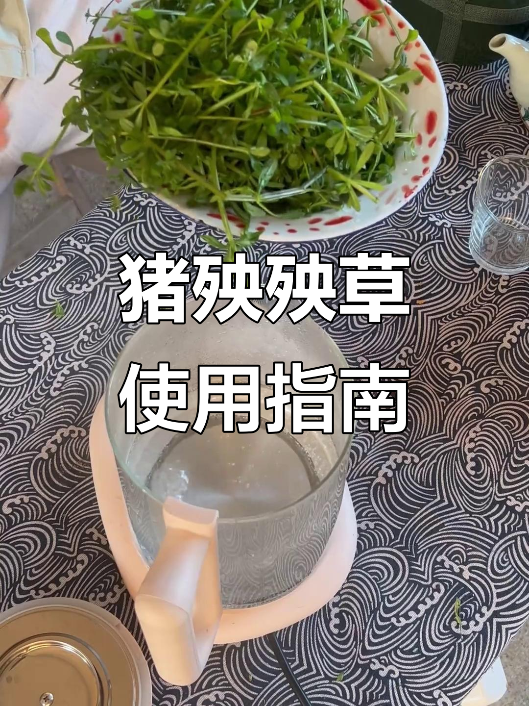 猪殃殃草的神奇功效与禁忌,别乱用!