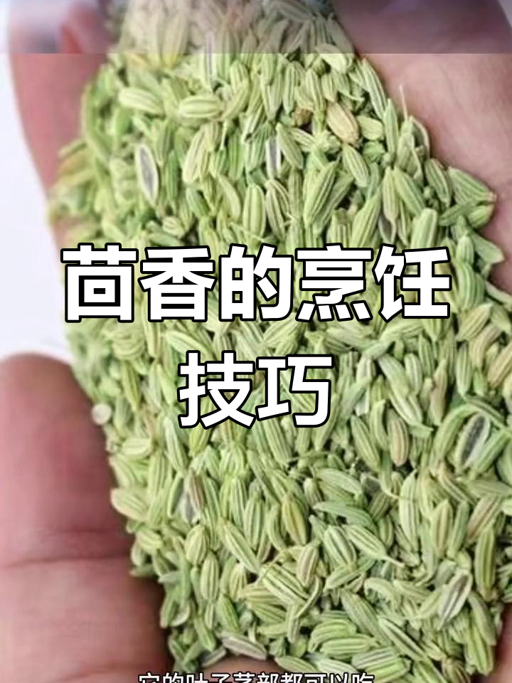 茴香的美味做法大揭秘