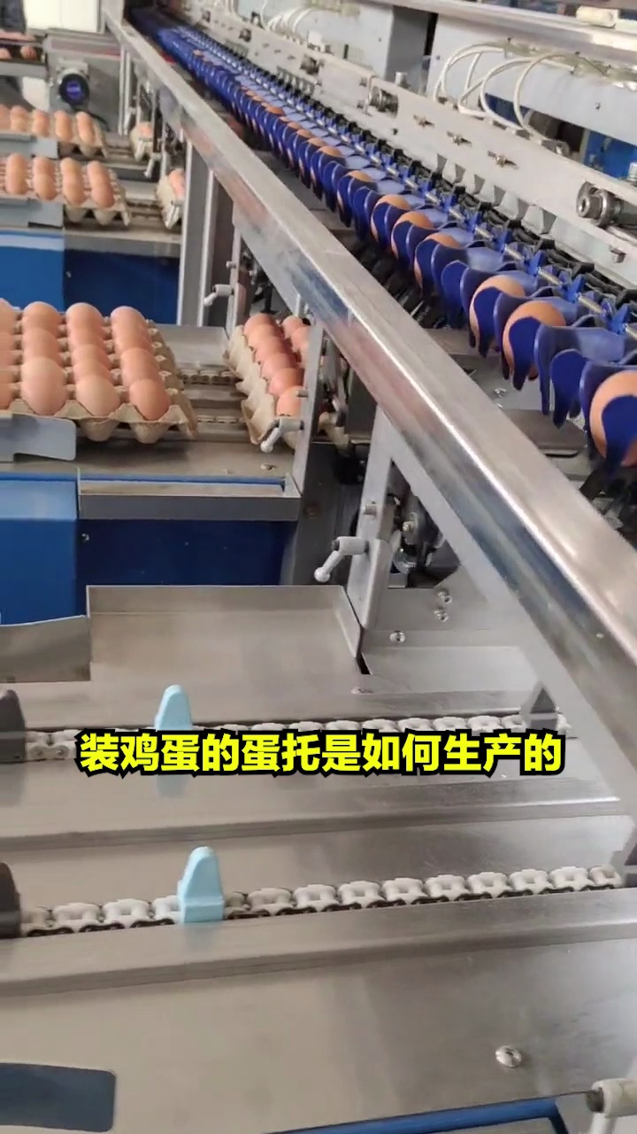 保护鸡蛋的蛋托是怎么来的?其实也不是什么大秘密 环保造纸机设备 鸡蛋蛋托 蛋托成型机