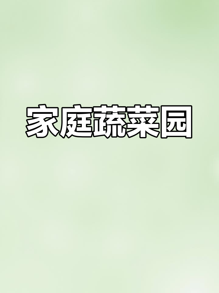 自制立体种植架,轻松打造家庭小菜园!