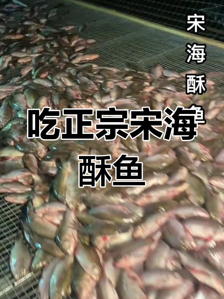 新鲜酥鱼,广府古城老店推荐