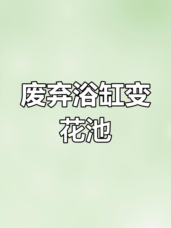 废鱼缸变身创意花池,简单步骤教你DIY改造