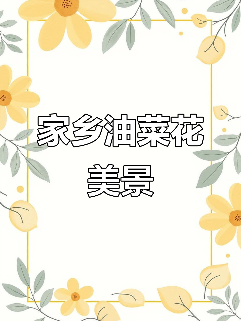 油菜花盛开,美丽乡村风景尽收眼底