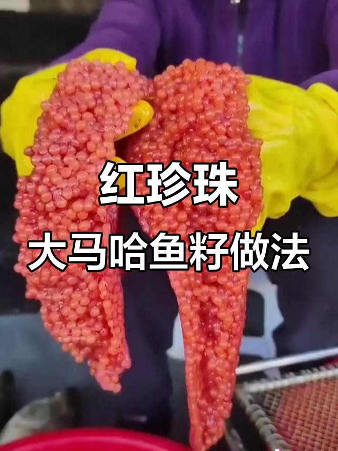 大马哈鱼籽变红珍珠,详细制作步骤全揭秘