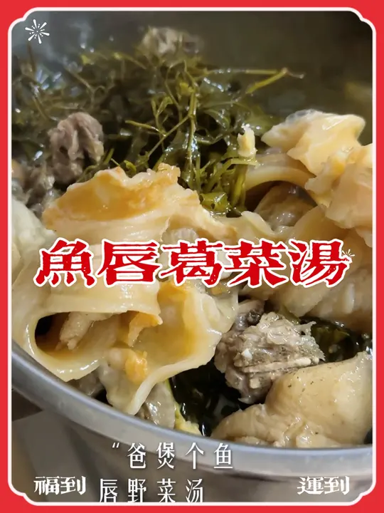 鱼唇并非鱼嘴唇,煲汤焖煮做佛跳墙都超美味