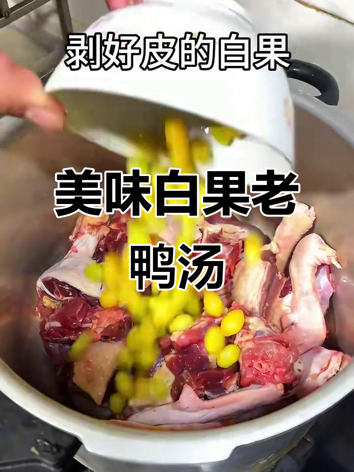 白果老鸭汤,鲜美又营养,滋补效果满分!