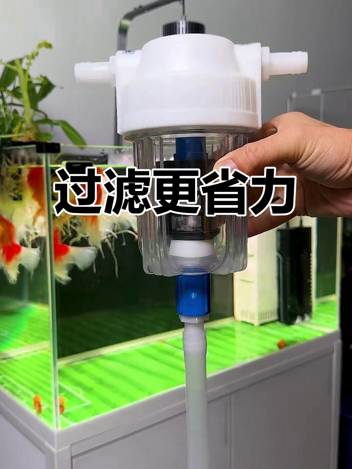 在过滤器前加分离器,鱼便轻松拦截,省心又高效!