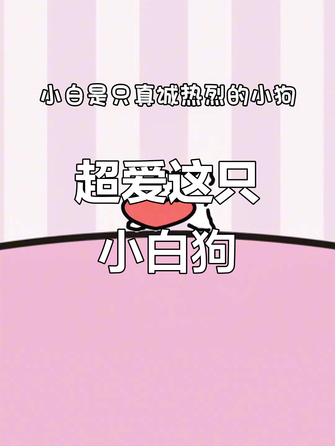 线条小狗的可爱日常,超萌小白来袭!
