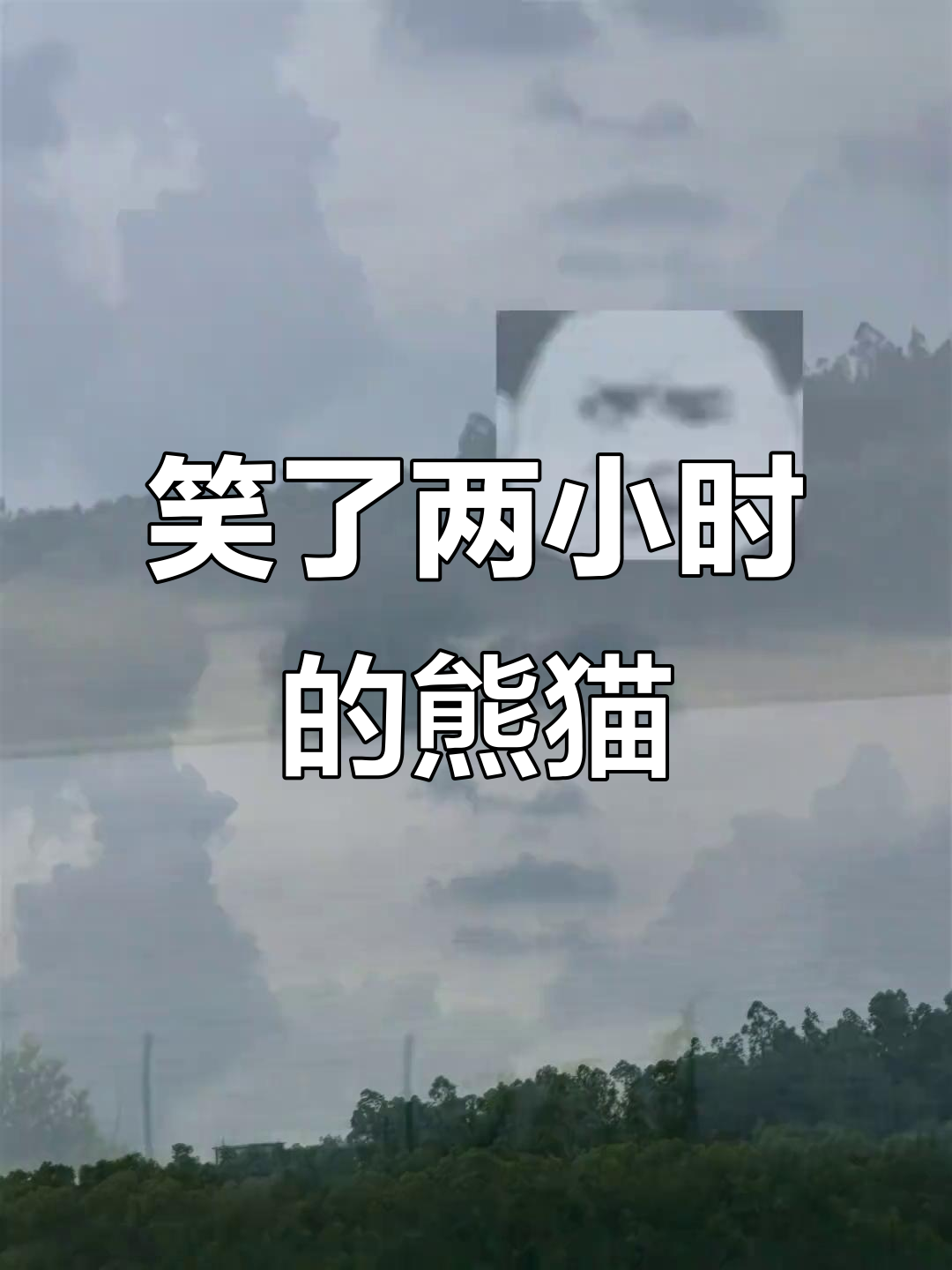 黑白熊猫表情包笑到不行,两个小时才发出来