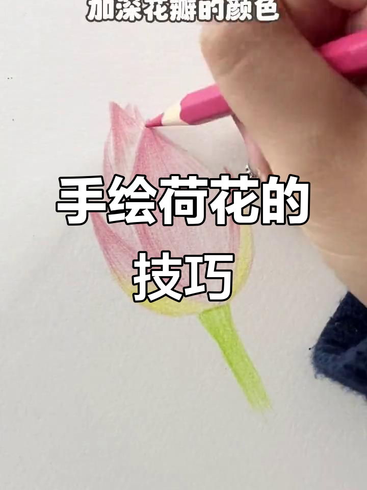 彩铅荷花画法,简单又好看!