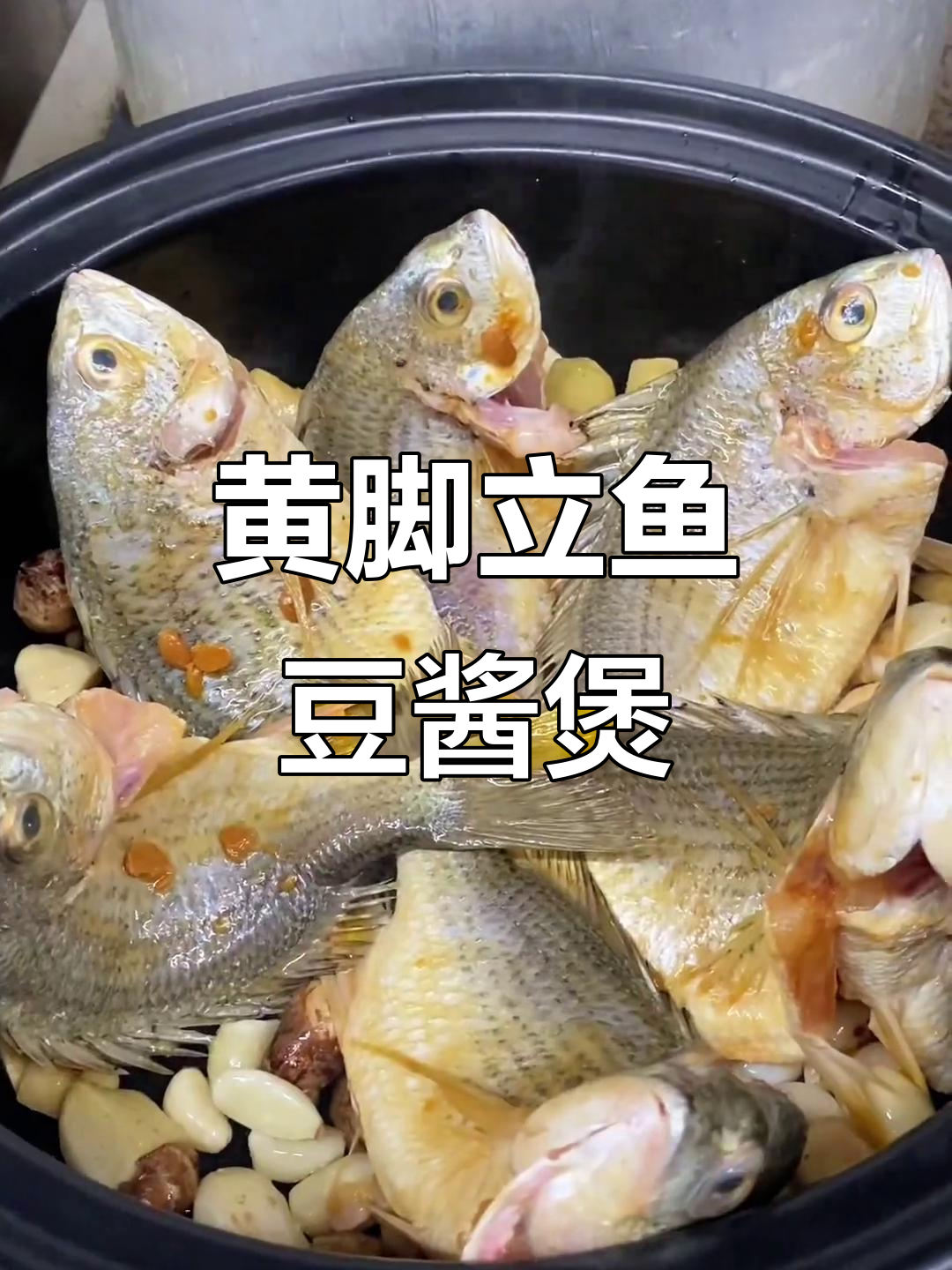 砂锅黄脚立鱼，豆酱啫啫煲做法大揭秘