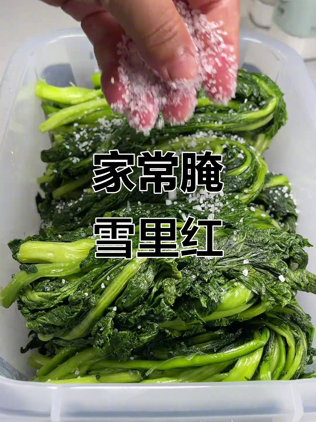 雪里红炖豆腐,家常味十足!教你腌制酸菜小技巧