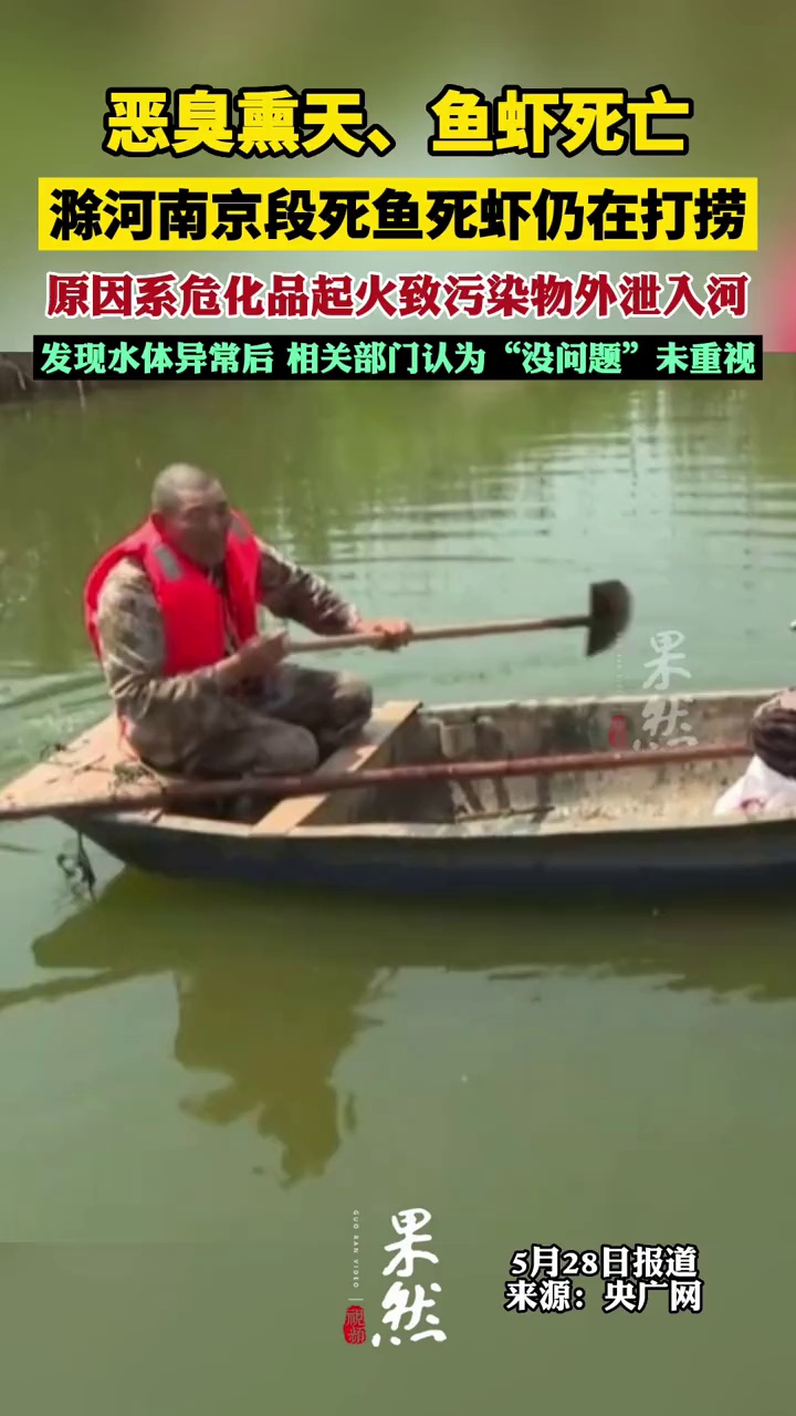滁河南京段死鱼死虾仍在打捞 危化品起火污染物外泄致滁河水质异常
