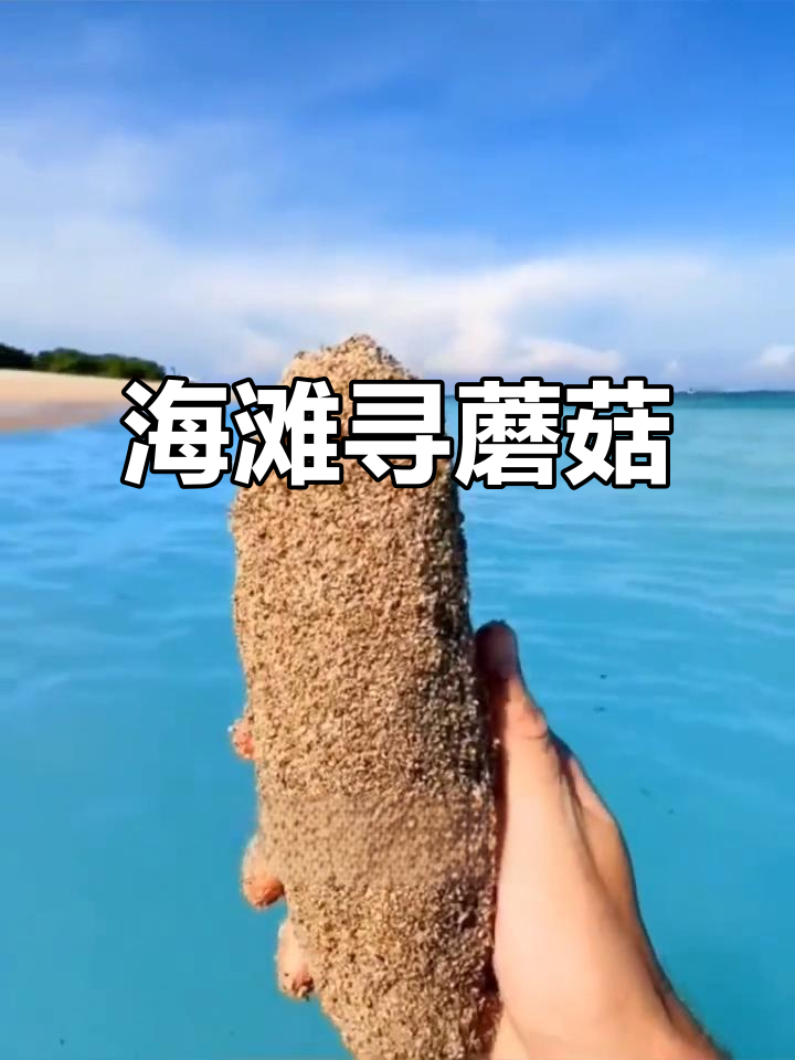 海边蘑菇大挑战,形状像麦克风还是茄子?