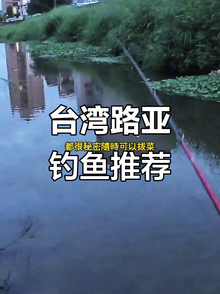 台湾路亚钓鱼新发现:菜园钓点大揭秘,梅鱼狂潮来袭