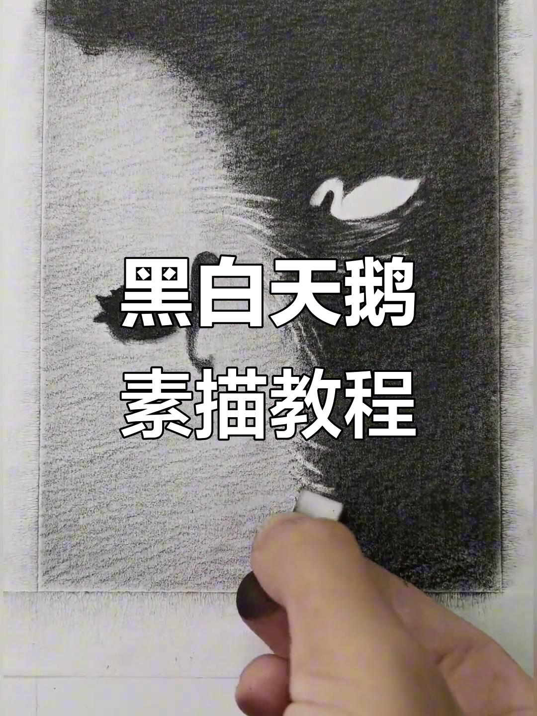 零基础素描黑白天鹅,轻松学会风景画