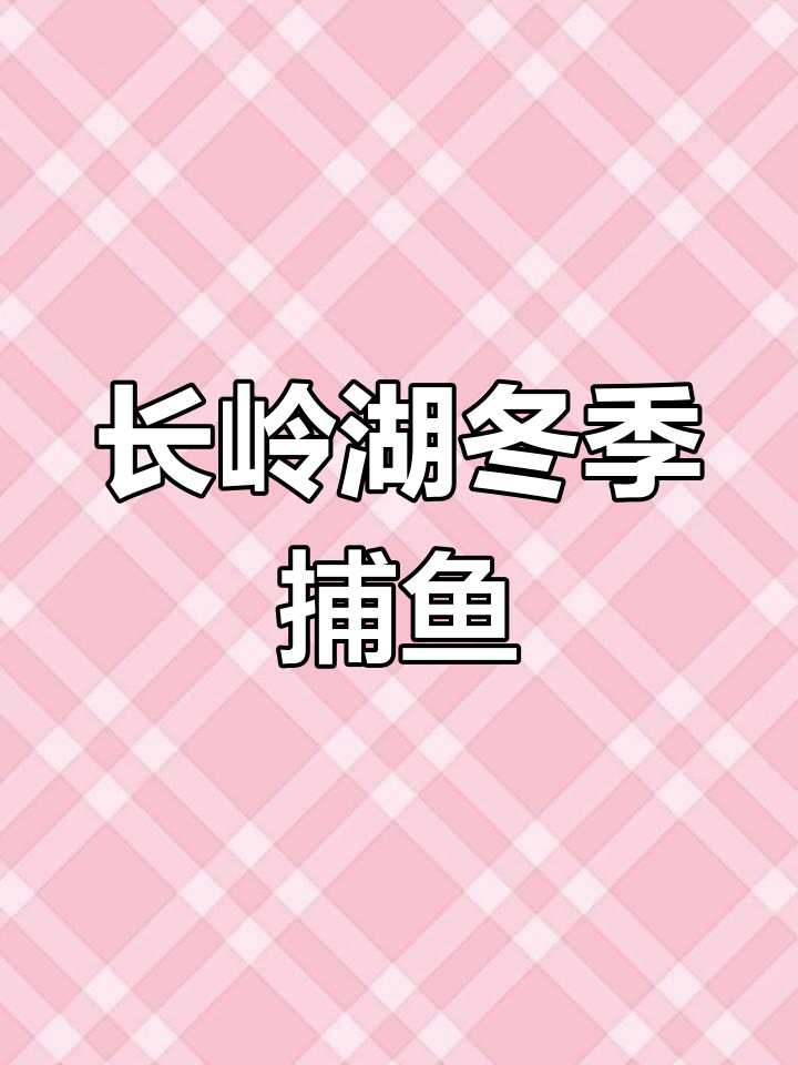 黑龙江长岭湖冬捕:冰层下打洞抓鱼