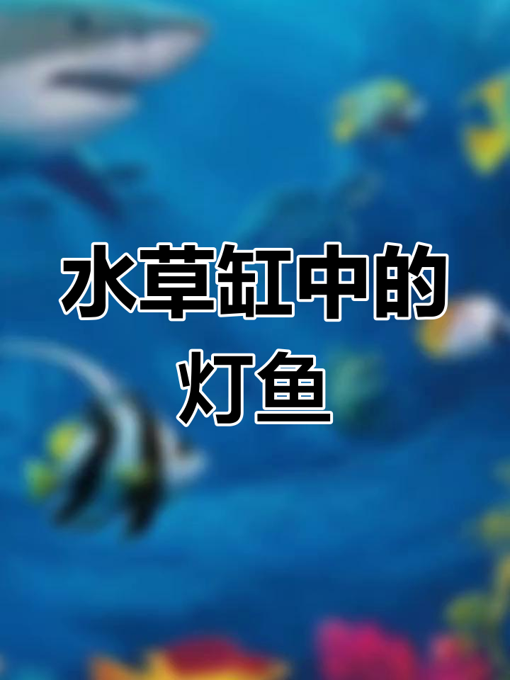 热带灯鱼与水草的美丽邂逅,群游色彩斑斓