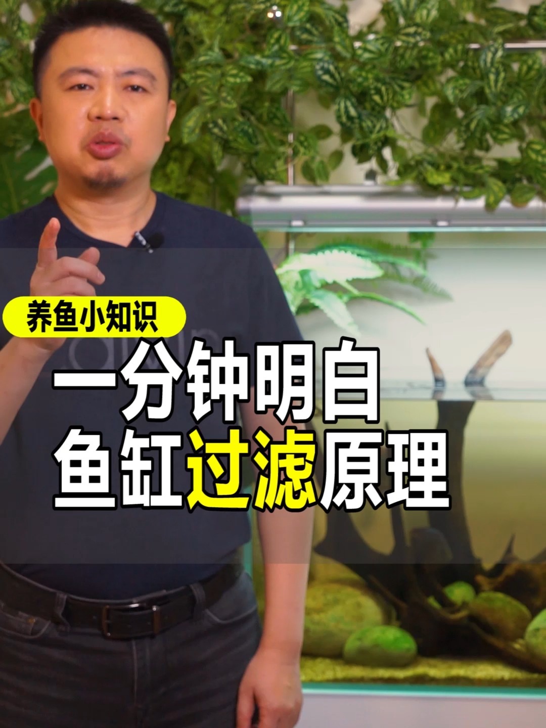 鱼缸为什么要有过滤,鱼叔1分钟给你讲明白