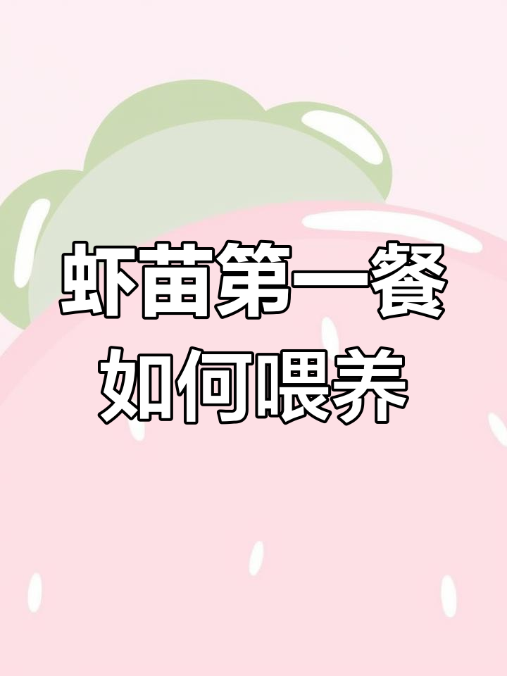 虾苗投喂技巧:五要点助力生长