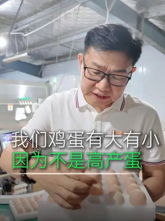 家长收到一模一样大小的鸡蛋!真得小心是人造蛋了