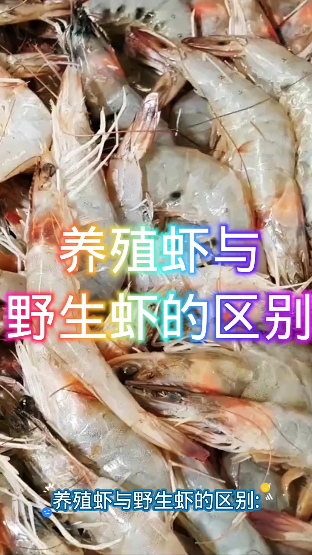 养殖虾与野生虾的区别