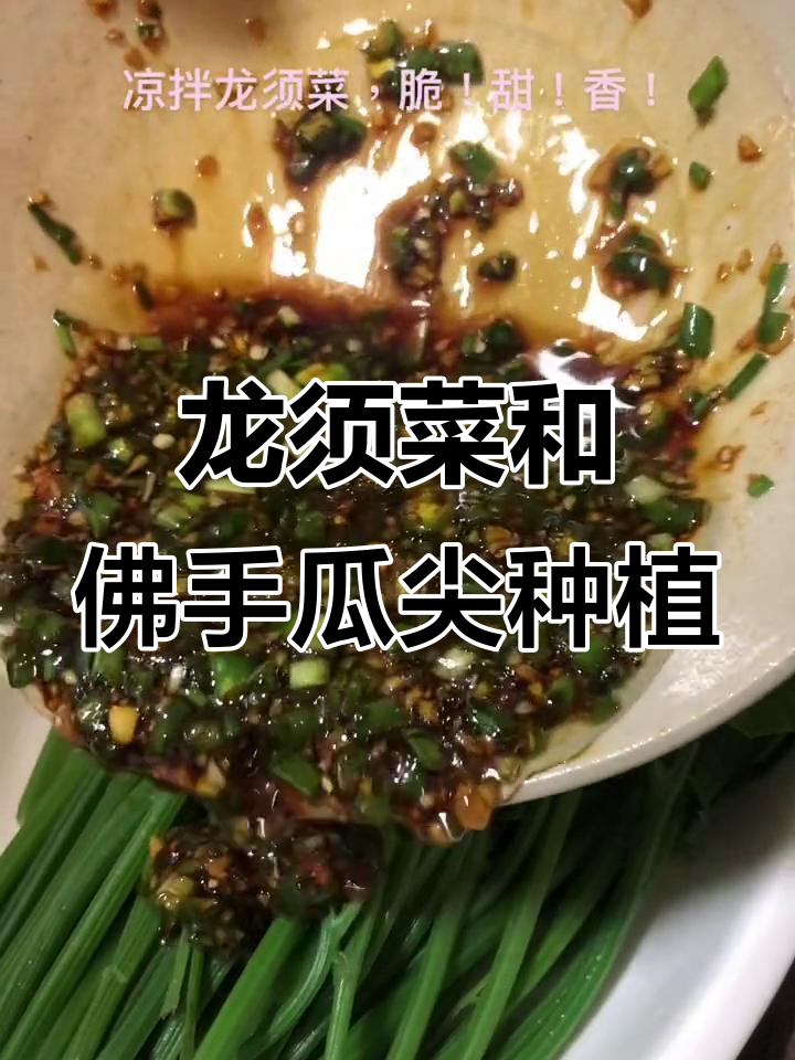 重庆龙须菜与佛手瓜尖的种植技巧,带你了解特色蔬菜的生长过程