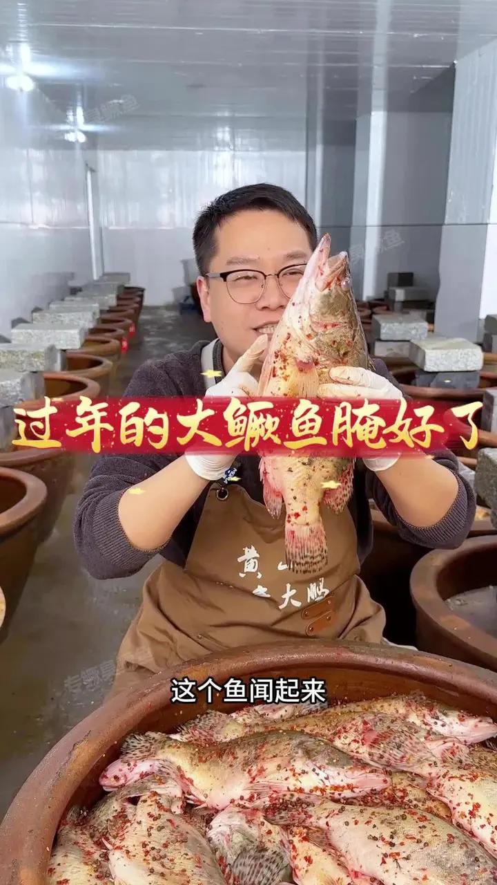 过年的大鳜鱼腌好了,源头工厂直发,拒绝中间商赚差价,饭店一条臭鳜鱼的价格,我给你们发三条,