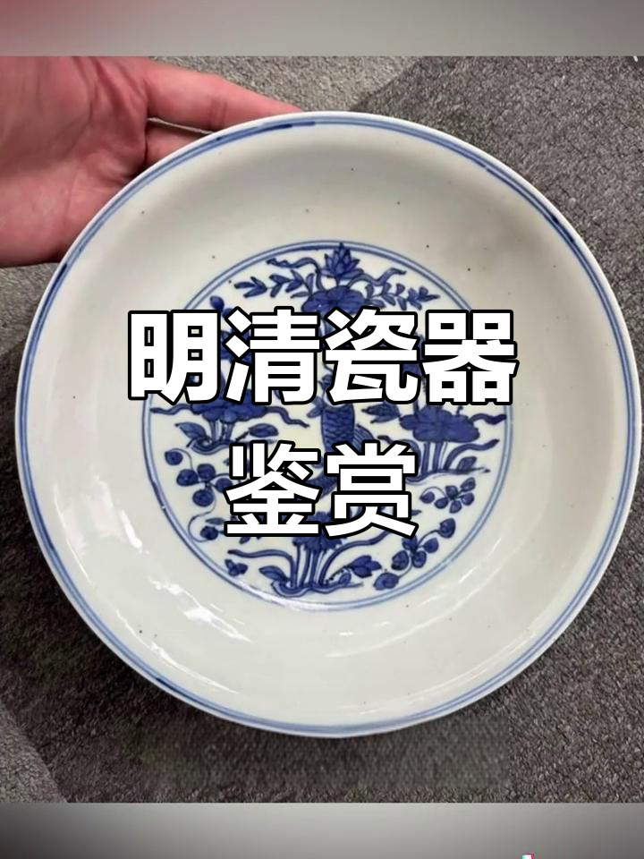 明代青花鱼藻纹盘,瓷器鉴定与赏析