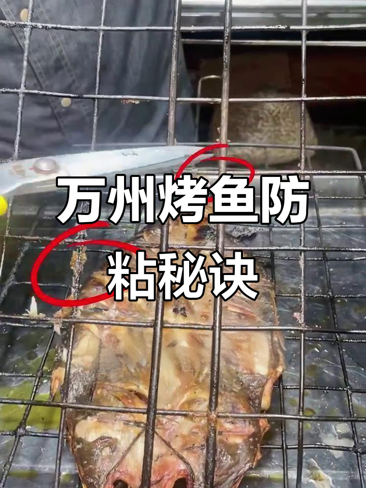 烤鱼不粘架子的技巧,万州气烤教程大揭秘
