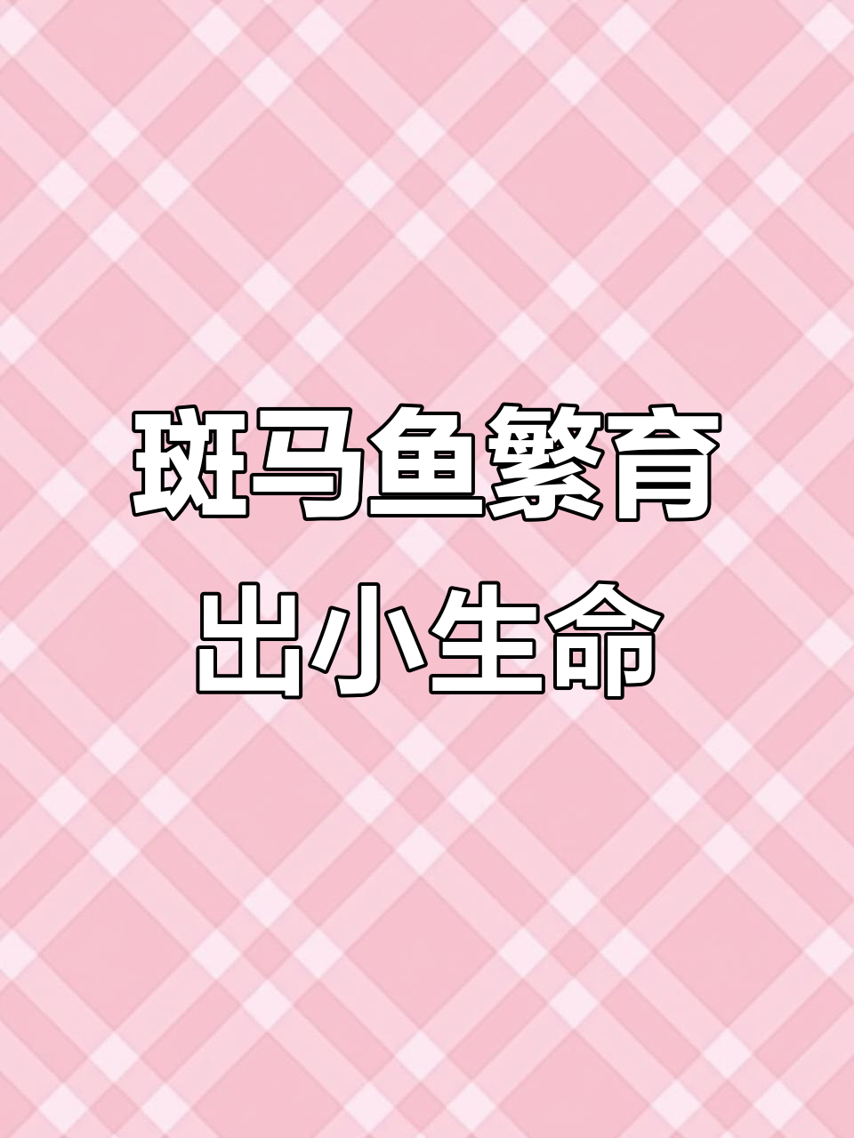 长鳍蝶尾斑马鱼成功繁殖,小鱼苗萌态十足