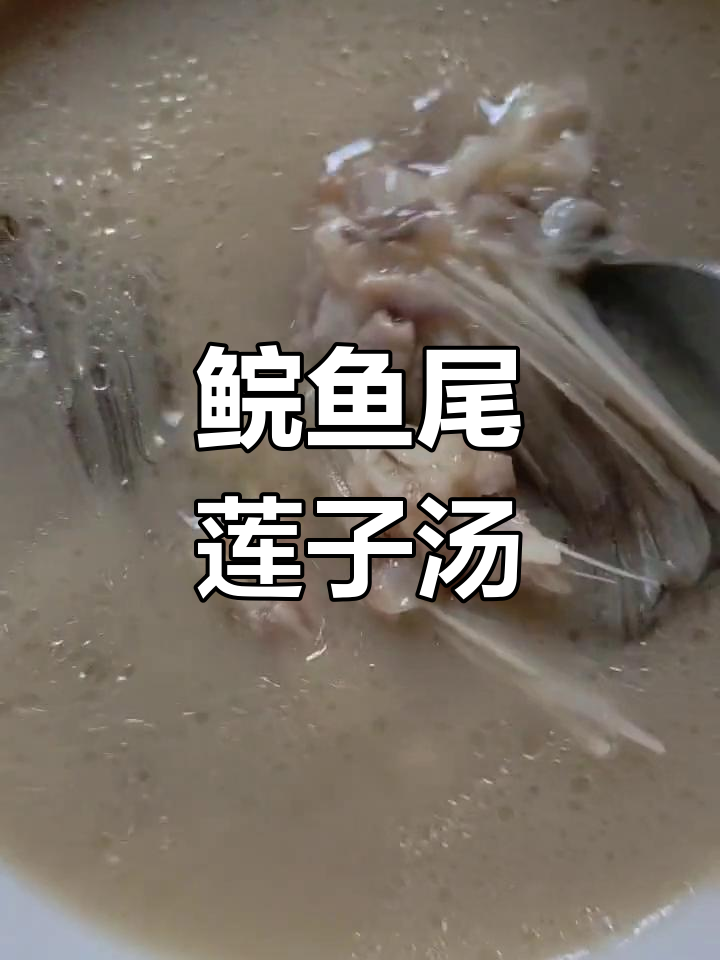 营养丰富的鲩鱼尾莲子眉豆汤