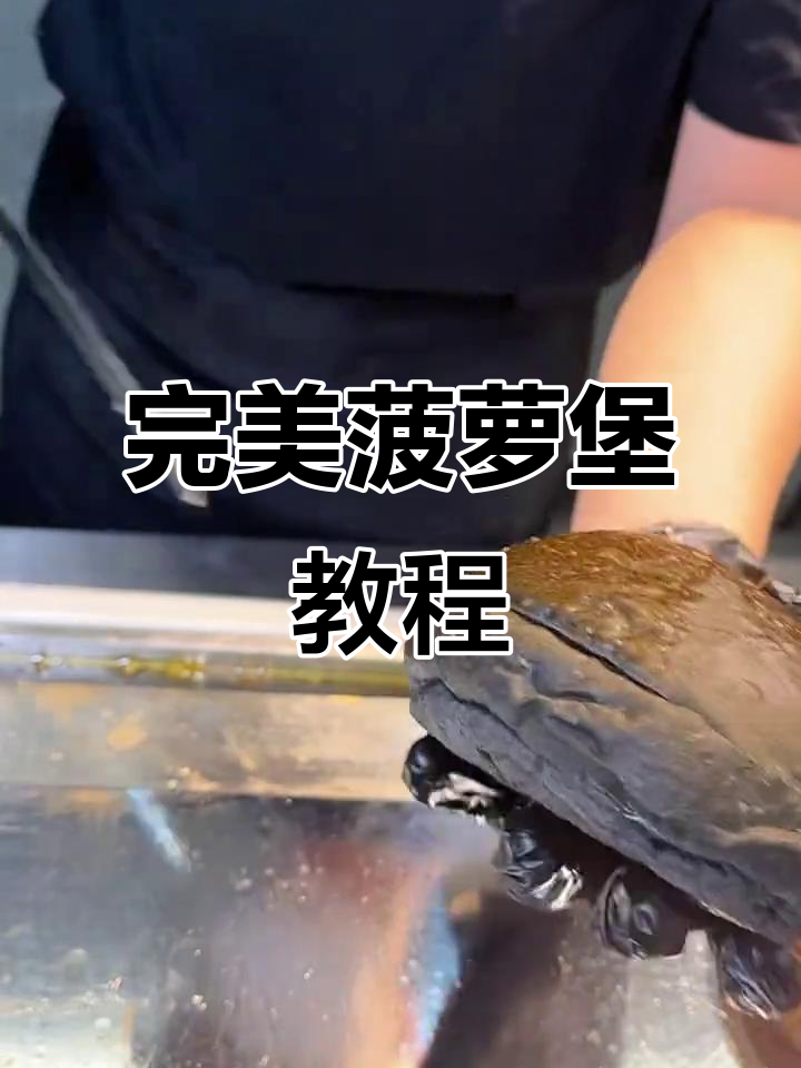 夏威夷菠萝汉堡制作秘籍,轻松掌握烤肉饼技巧