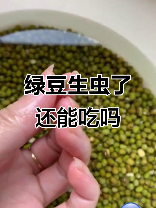 绿豆里的虫子竟然长出来了,吓一跳!能吃吗?