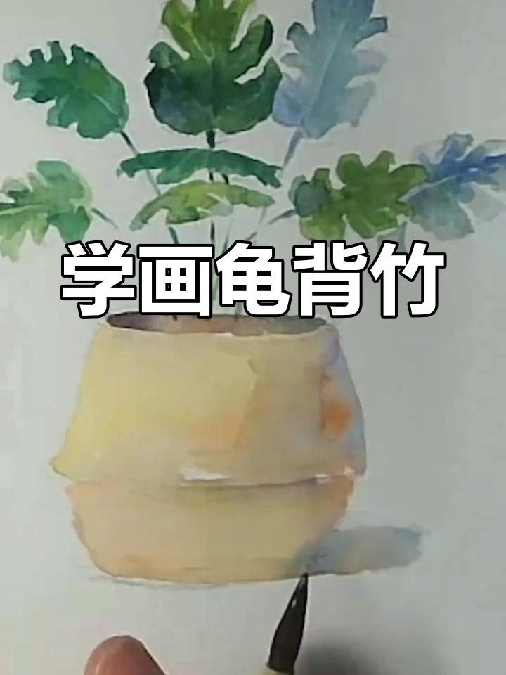 龟背竹盆栽绘制教程,轻松学会叠色技巧