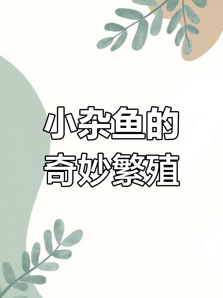 鳑鲏鱼:国外受欢迎的小杂鱼,繁殖奇特